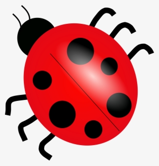 Ladybug Png Picture - Clip Art Lady Bug