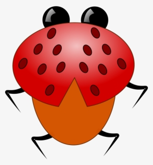 Ladybird Beetle Drawing Spotted Lady Beetle Cartoon - Ladybird Beetle