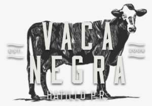 Vnvi - Vaca Negra Hatillo Puerto Rico