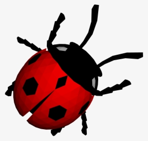 Lady Bug Png