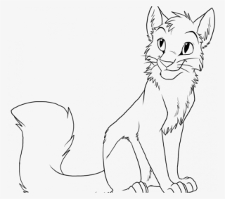 Warrior Cats Warrior Cats Line Art Cat Transparent Png 678x600 Free Download On Nicepng