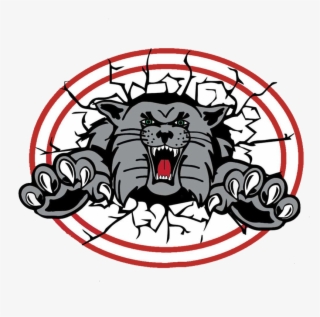 Canton South Wildcats - Canton South Wildcats Logo
