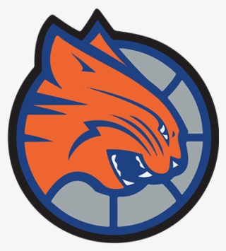 Charlotte Bobcats Old Logo