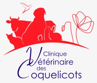 Clinique Vétérinaire Des Coquelicots - Veterinary Physician