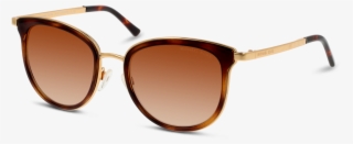 1010 110113 13 Brown - Sunglasses