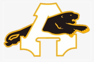 Panthers Logo Png