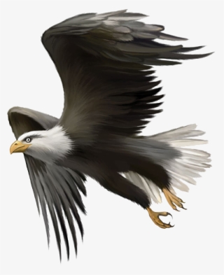 Vector Royalty Free Bird Golden Clip Art - Flying Eagles