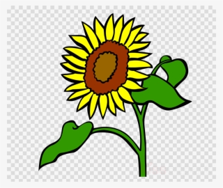 Sunflower Clipart Common Sunflower Clip Art - Clip Art
