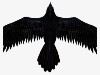 Raven Clipart Transparent Background - Clip Art Raven Png