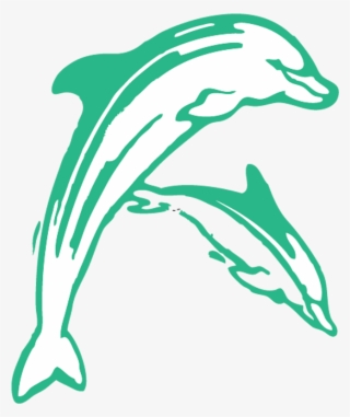 Elementary School - Dolphin