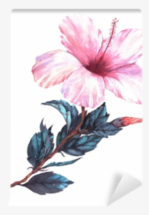 Drawing Hibiscus Watercolor