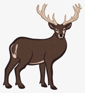 Deer Antler Source - Coloured Image Of Deer