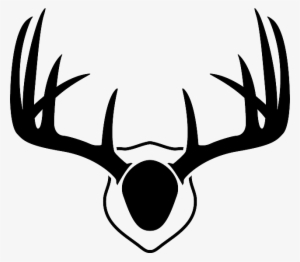antlers deer whitetail free vector graphic on - drawing of deer antlers
