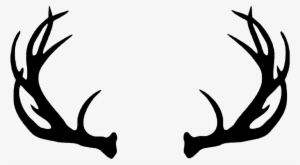Download Deer Antler Png Download Transparent Deer Antler Png Images For Free Nicepng