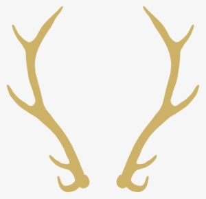 19 Antlers With Flowers Clipart Freeuse Stock Huge - Elk Wreath