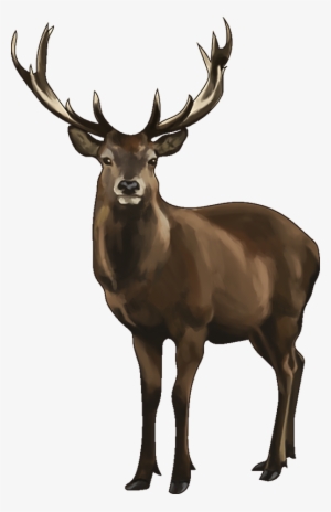 Which Animals Can You Name ヘラジカ イラスト Transparent Png 517x800 Free Download On Nicepng