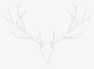 check availability check availability - white antlers png