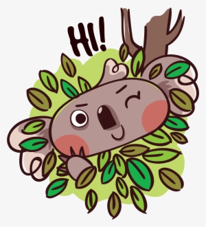 Koala