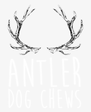 Clipart Library Download Antlers Transparent White - Sketch