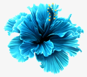 Flower Hallow - Blue Tropical Flowers Png
