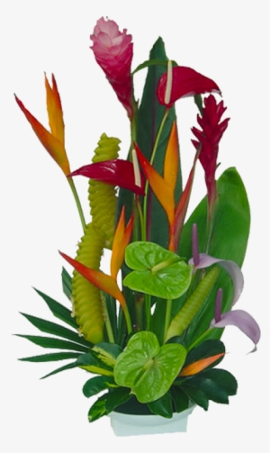 Tropical Flowers Florida Landscaping 20710 Tropical - Tropical Flowers Jungle Clipart