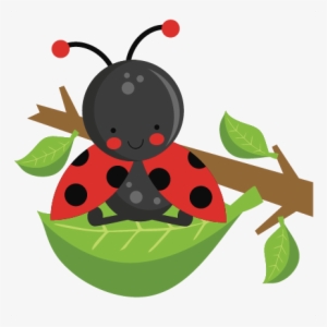 Ladybug On Leaf Svg Scrapbook Cut File Cute Clipart - Miss Kate Cuttables Park
