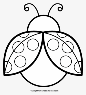 Png Image - Clip Art Ladybug Black And White