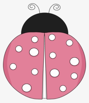 Pink Lady Bug - Pink And White Ladybug