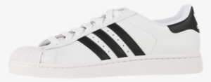 Adidas Shoe Wonderful Picture Images Png Images - Transparent Adidas Superstar Png