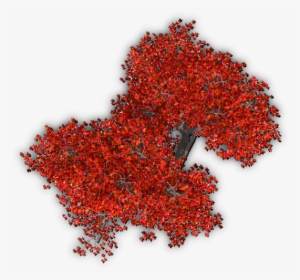 451k Tree Autumn 1 06 Feb 2009 - Red Tree Top View Png