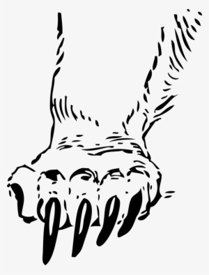 Claw Bear Tiger Paw Giant Panda - Cats Claws Clip Art