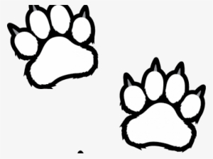 Scratches Clipart Tiger Paw - Tiger Paws Coloring Pages