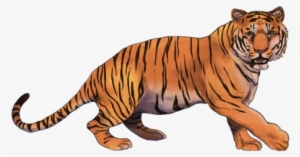 2 - Transparent Tiger