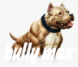 Watch Pit Bull Puppy Training Videos And Read Pitbull - Bully Max Muscle Building Dog Chews