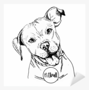 Drawn Pitbull Transparent - Love My Pitbull Png
