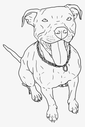 Drawn Pitbull American Pitbull - Pitbull Line Art