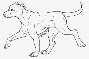 Pitbull Coloring Pages Ted Coloring Pages 254681 Pitbull - Great Dane Coloring Page