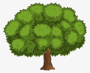 Large Tree Png Clip Art Image