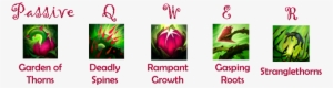 Skills - Portable Network Graphics