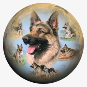 Graphite Drawing German Shepherd - Bob German Shepherd Dog - Linda Picken Treat Jar