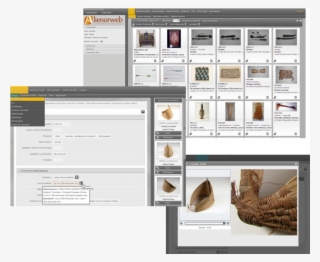 Capture D'écran De La Base De Données Des Collections - Database