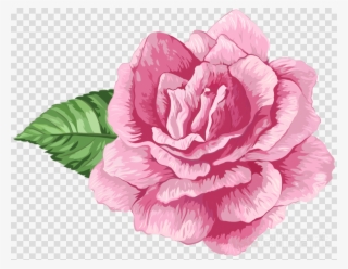 Flores Rosas Png Clipart Garden Roses Clip Art - Flor Rosa Em Png