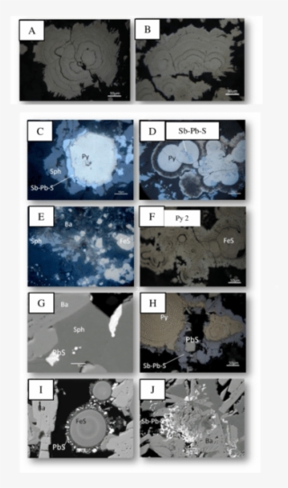 Photomicrographs In Reflected Light And Bse Images - Pyrite