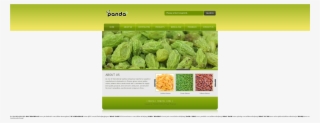 Website History - Momordica Charantia