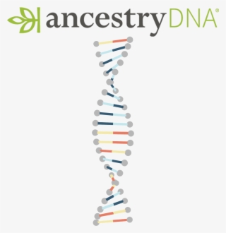 When It Comes To Identity, Many Of Us Have Grown Up - Ancestry Dna Kits