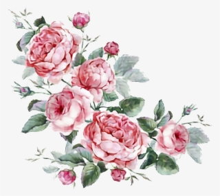 Flowers Stickers Transparent Aesthetic Cute Filter - Jane Austen. Donna E Scrittrice