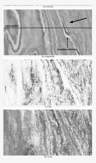 Seismic Section