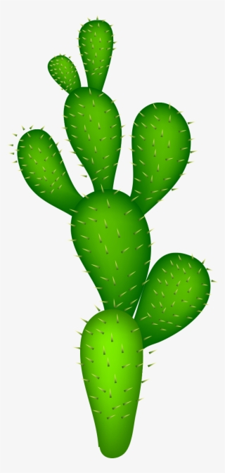 Cactaceae Clip Art Plantas Del Desierto Animadas Transparent Png