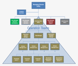 Business Structure - Operation Management Business Process