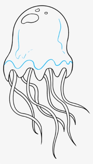 How To Draw Jellyfish - Jellyfish Line Drawing Simple